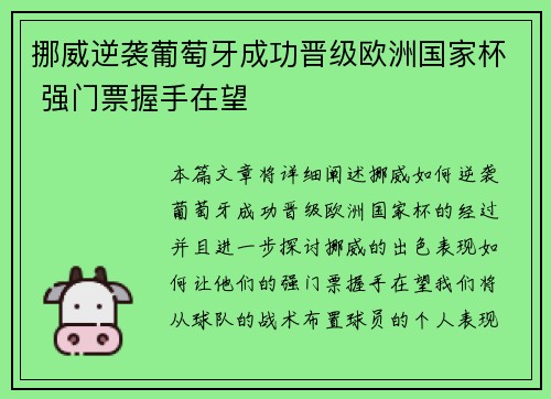 挪威逆袭葡萄牙成功晋级欧洲国家杯 强门票握手在望